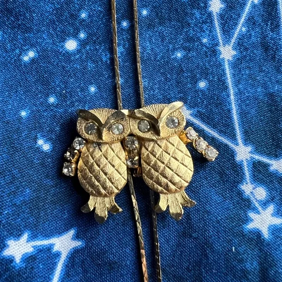 LAST CHANCE! VINTAGE Gold Rhinestone Pair of Perched Owls Slide Lariat Necklace - Picture 1 of 4